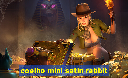 coelho mini satin rabbit